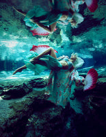 2022 Hannah Fraser Underwater Photography Calendar